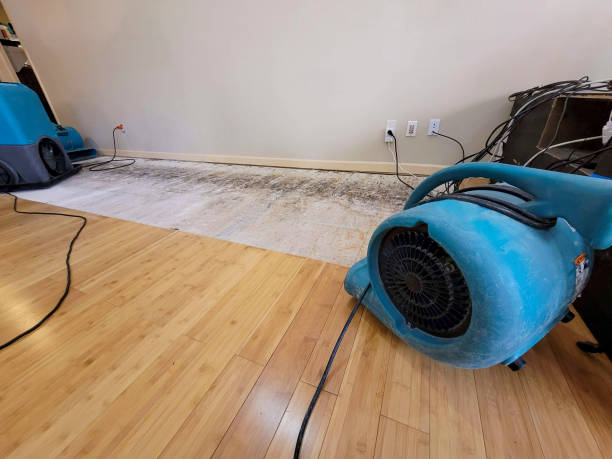 Professional Structural Drying technician working in Freeport, IL